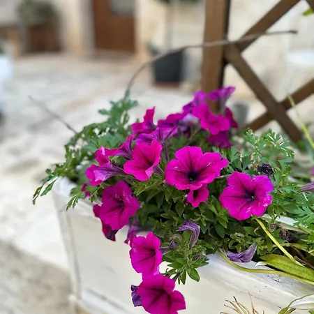 Trulli Bale لوكوروتوندو